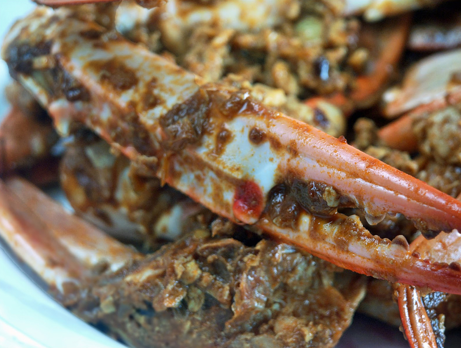 flower crab curry